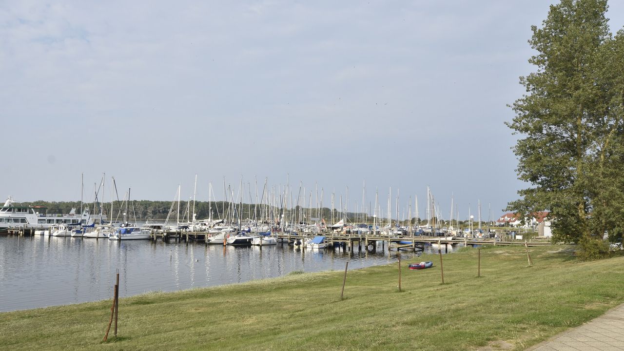 AreaSummer1KM AreaSummer1KM